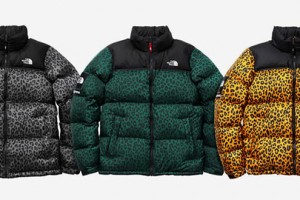 Supreme x The North Face: Capsule Collection 2011