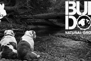 Bulldog Skincare