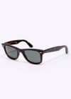 Ray-ban Tortoiseshell Wayfarer