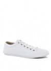 Lyle & Scott Canvas Plimsolls