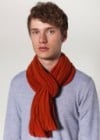 American Apparel The Unisex Super Sheer Circle Scarf